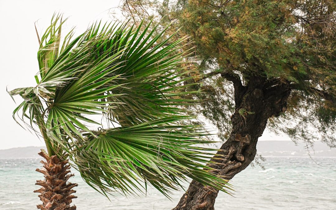 ac repair pine island fl