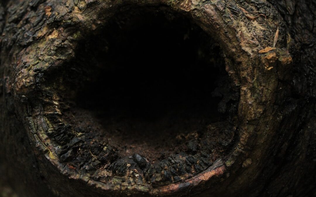 burst pipe repair in naples fl