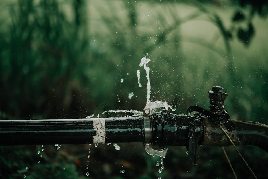 burst pipe repair in bonita springs fl