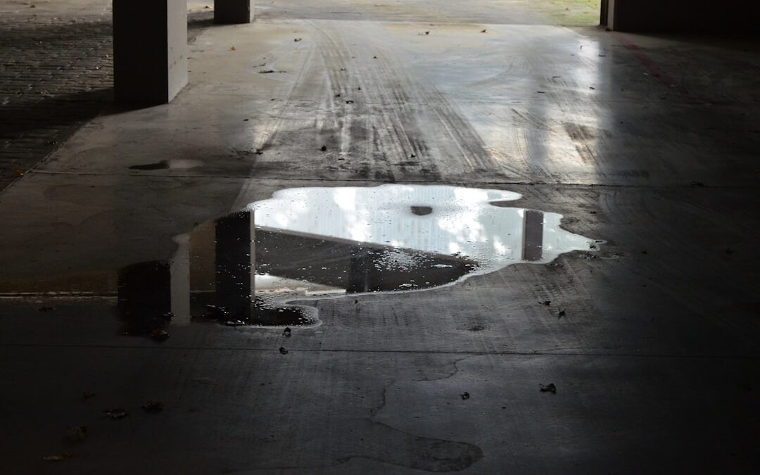 Don’t Let Leaks Drip Away Your Peace with Expert Repair in Fort Myers