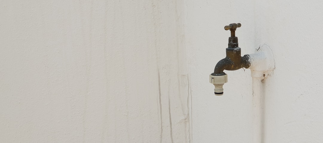 Expert Picks: Discovering the Best Water Heater Repair in North Naples, FL
