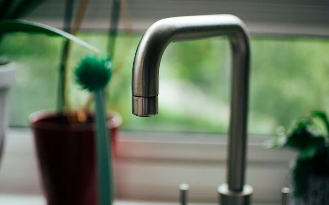 Stop the Scale Before Your Appliances Fail