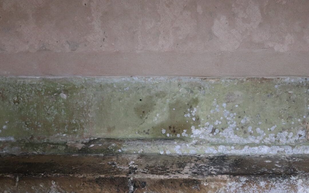 The Ultimate Guide to Mold-Free Air Conditioning