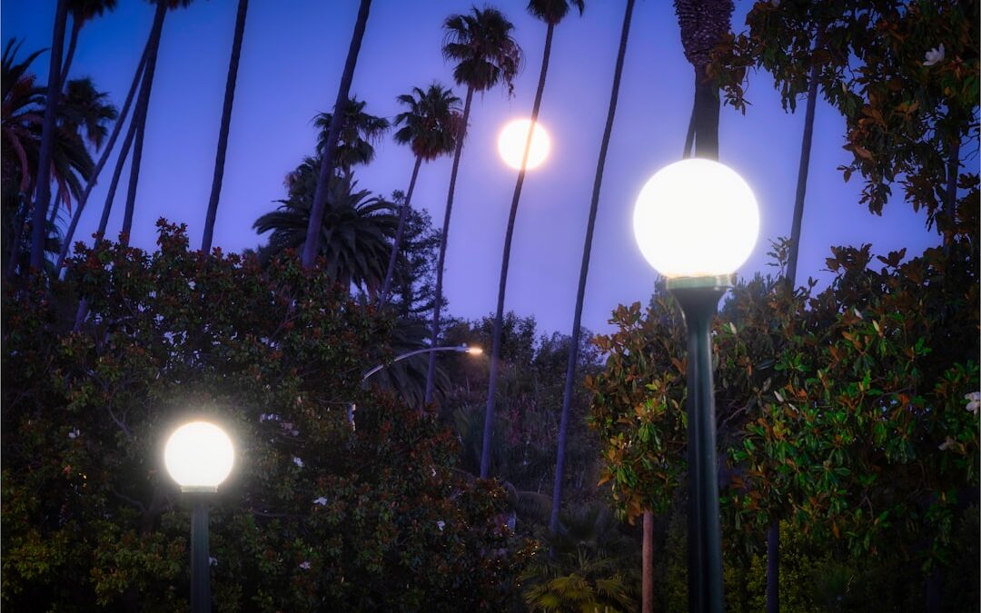 Why Your Garden is Begging for an LED Upgrade
