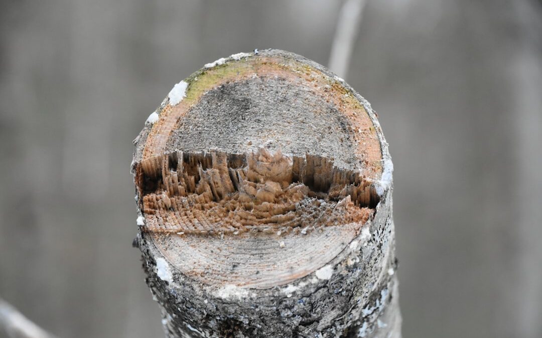 Don’t Drown: Fast & Reliable 24/7 Burst Pipe Repair in Fort Myers