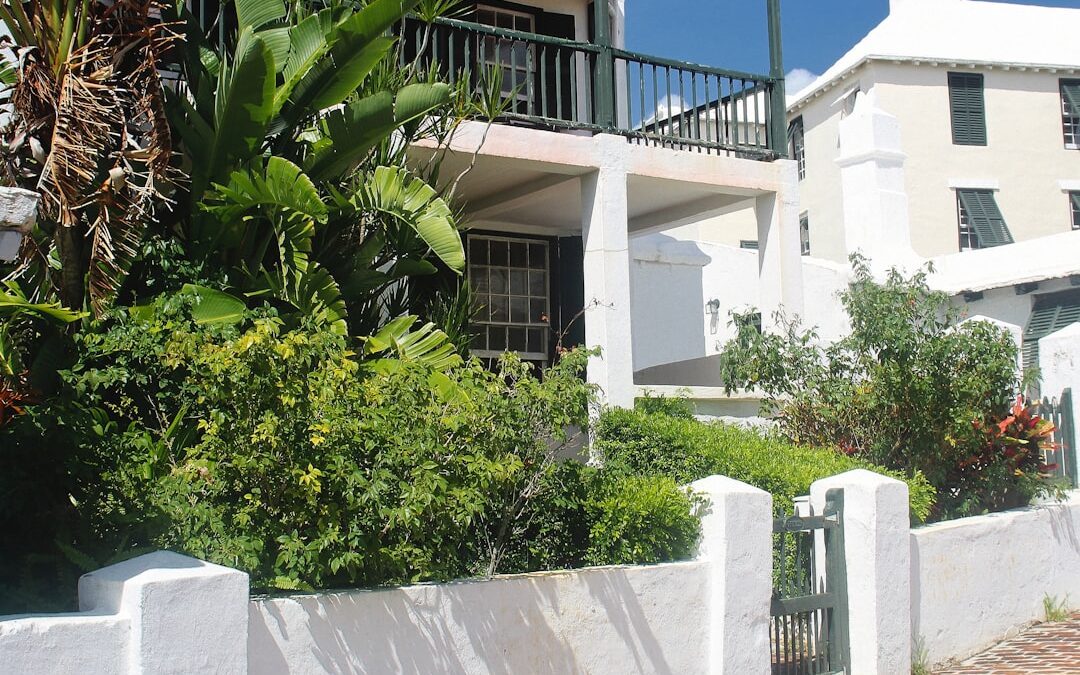 AC unit outside a tropical home with lush green vegetation and humid environment