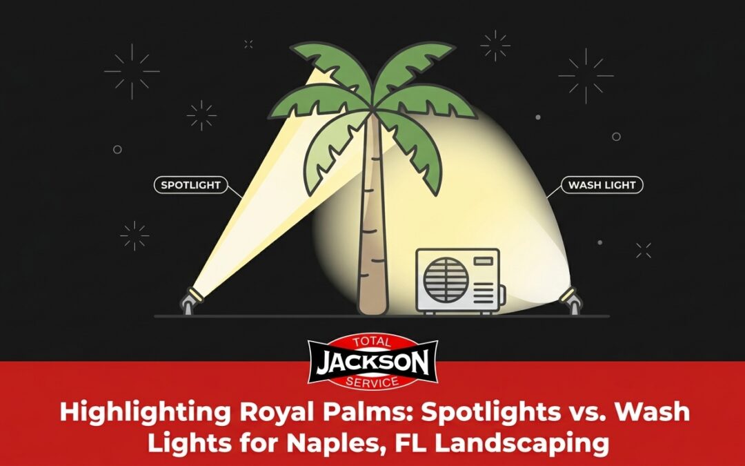 Highlighting Royal Palms: Spotlights vs. Wash Lights for Naples Landscaping